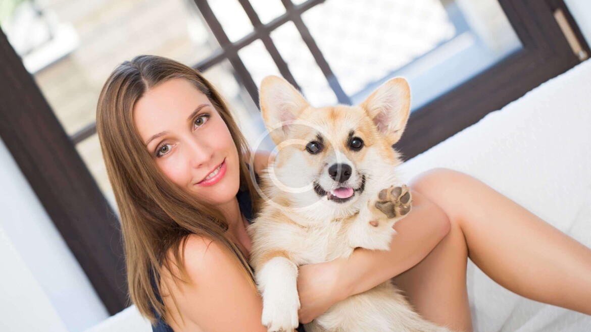 Dogs and Their Owners‘ Stories